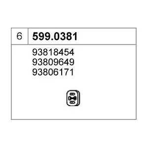 599.0381 ASSO