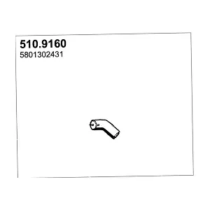 510.9160 ASSO