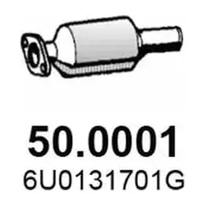 50.0001 ASSO