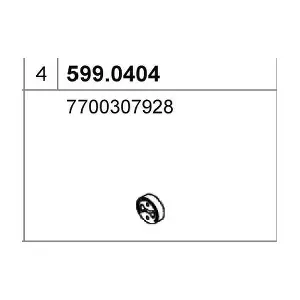 599.0404 ASSO