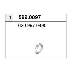 599.0097 ASSO