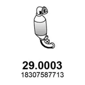 290003 ASSO