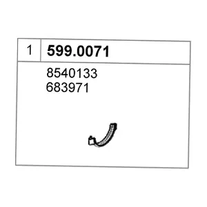 599.0071 ASSO
