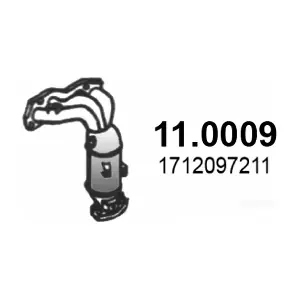 110009 ASSO