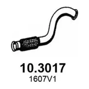 10.3017 ASSO