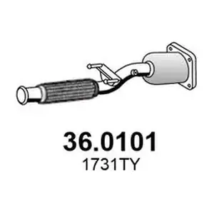 (36.0101) ASSO