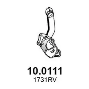 10.0111 ASSO