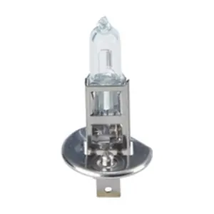 BOSCH 1987302801