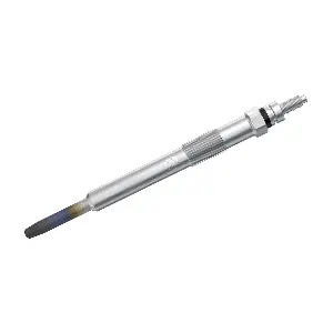 BOSCH 0250202048