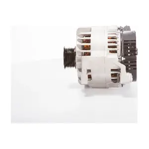 BOSCH F 042 307 013
