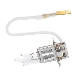 1987302431 BOSCH