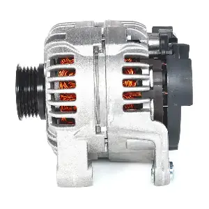 BOSCH 0124425024