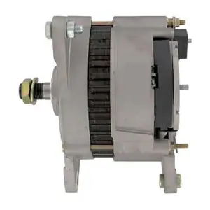 BOSCH F042306024