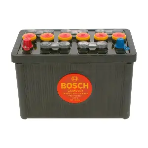 BOSCH F026T02313