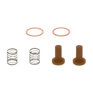 2 447 010 011 BOSCH