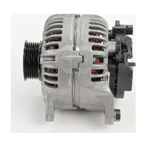 BOSCH 0124615007