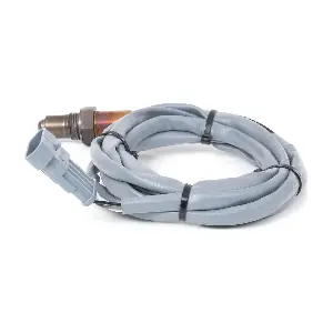 BOSCH 0258006391