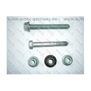 AUTEX 912009