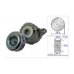 654967 AUTEX