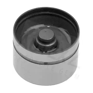 955051 AUTEX
