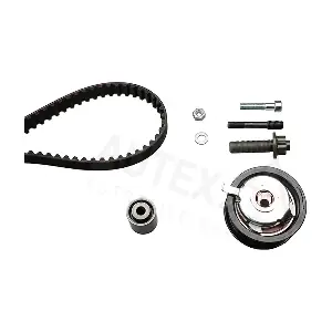 AUTEX 702011