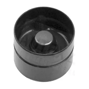 955058 AUTEX