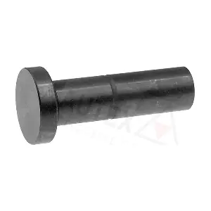 955132 AUTEX