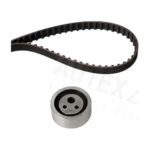 AUTEX 702187