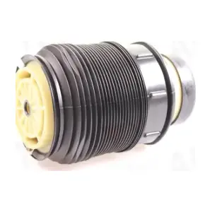 933043 AUTEX