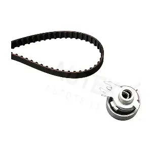 AUTEX 702067