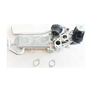 959501 AUTEX