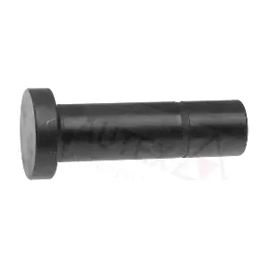 955130 AUTEX
