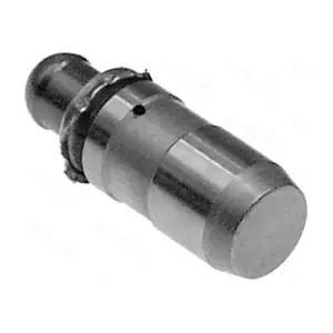 955279 AUTEX