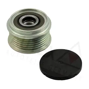 654787 AUTEX