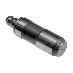955099 AUTEX