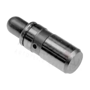 955095 AUTEX