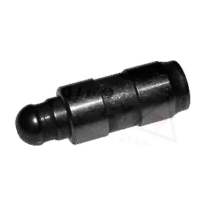 955117 AUTEX