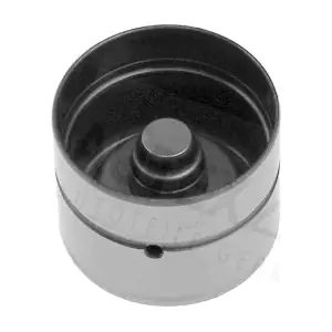 955062 AUTEX