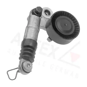 602058 AUTEX