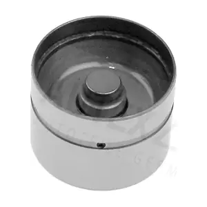 955053 AUTEX
