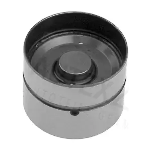955041 AUTEX
