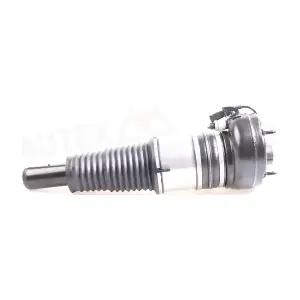 933008 AUTEX