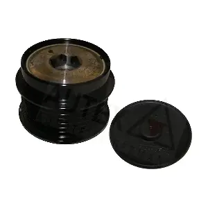 AUTEX 654597