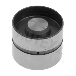 955079 AUTEX
