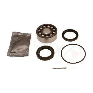 802425 AUTEX