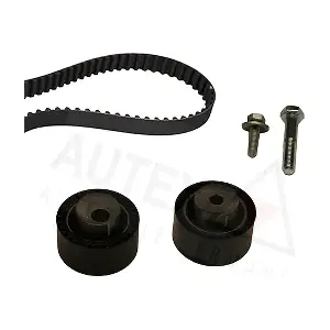 702613 AUTEX