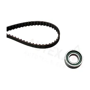 AUTEX 702098