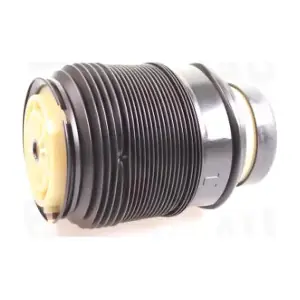933044 AUTEX