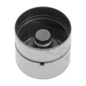 955069 AUTEX