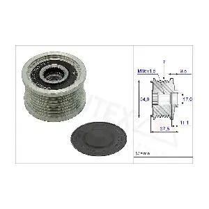 654804 AUTEX